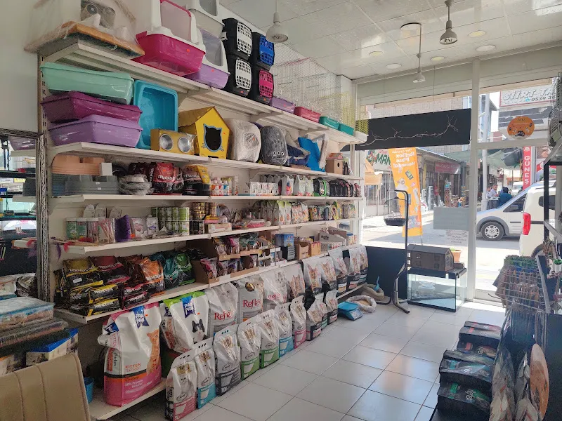 PetShop foto 2
