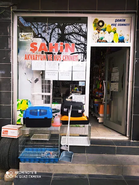 Şahin Akvaryum, Kuş Cenneti Petshop foto 1