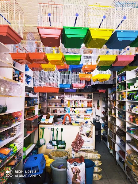 Şahin Akvaryum, Kuş Cenneti Petshop foto 2