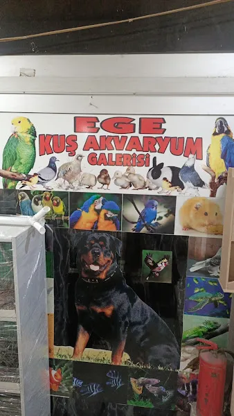 Ege kuş ve akvaryum dünyası foto 1