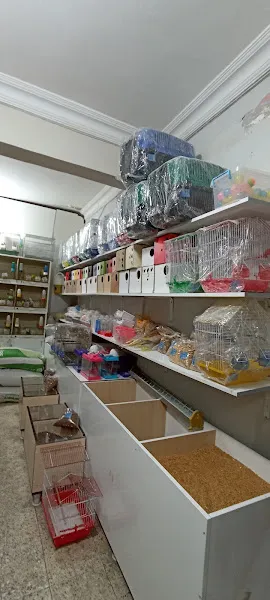 Çelik Petshop foto 1