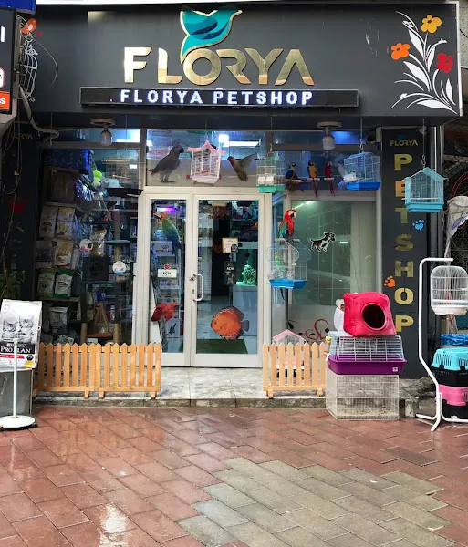 Pati Petshop foto 1
