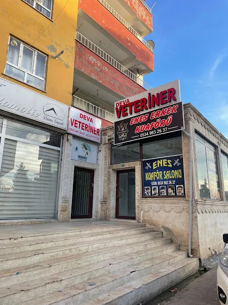 MİDYAT DEVA VETERİNER foto 1