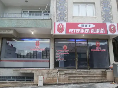 Veteriner Hekim