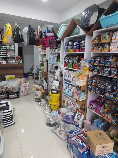 Patigiller Sokağı Pet Butik & Pet Kuaför foto 2