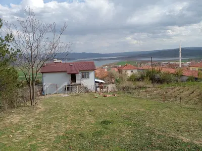 Hayvan pazarı
