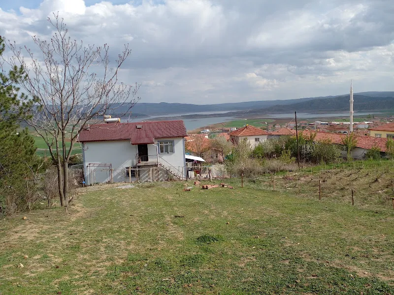 Hayvan pazarı foto 1