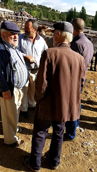 Hayvan pazarı foto 2