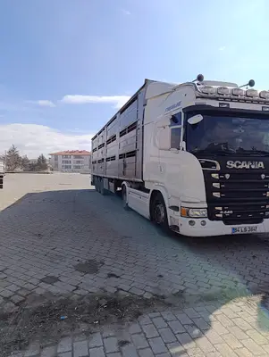 siirt canlı hayvan nakliyesi