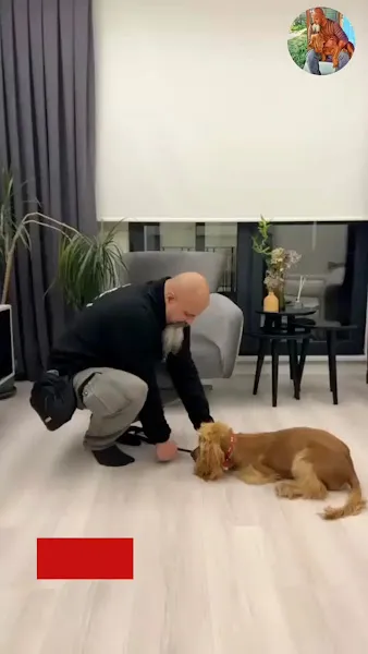 Sertaç Özer ile Köpek Eğitimi foto 1