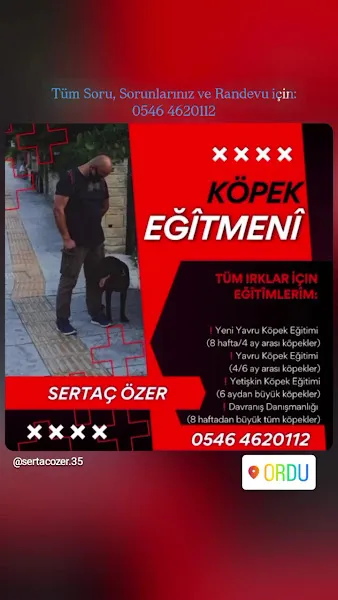 Sertaç Özer ile Köpek Eğitimi foto 2