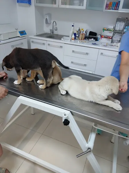 Duyguvet Veteriner Kliniği foto 1