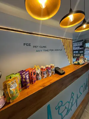 Fee Veteriner Cerrahi Kliniği Özlüce Bursa fotoğrafı