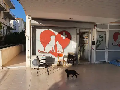 Maya veteriner kliniği fotoğrafı