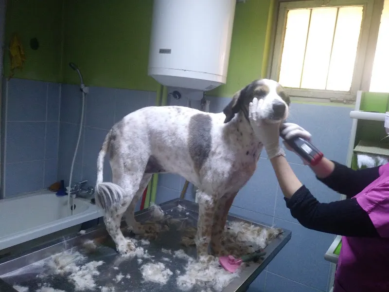 İlhanlar Veteriner Kliniği foto 2