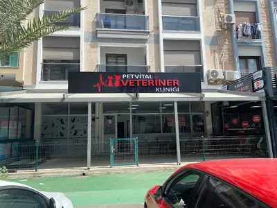 Petvital Veteriner Kliniği fotoğrafı