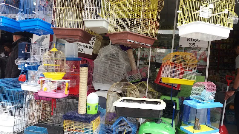Gözde Petshop foto 2