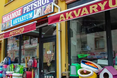 Yakamoz Akvaryum Petshop