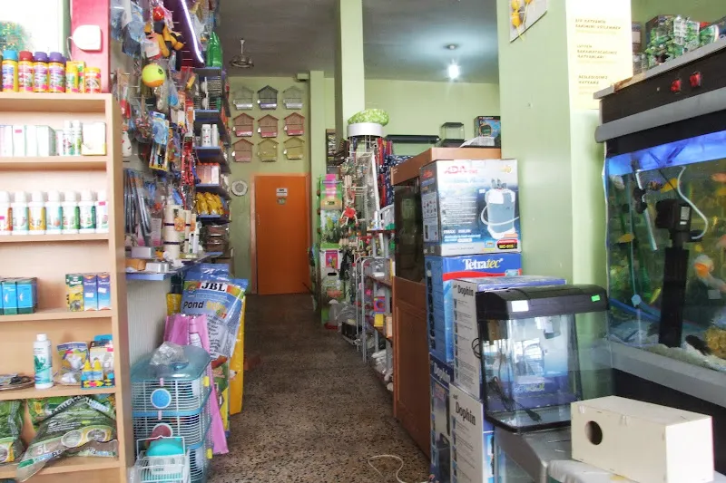 Şehir Petshop Akvaryum foto 2