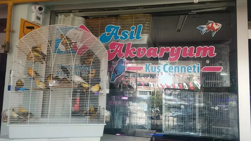 Asil Akvaryum foto 1