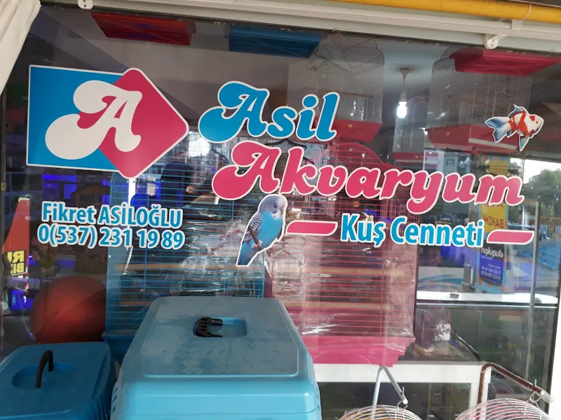 Asil Akvaryum foto 2
