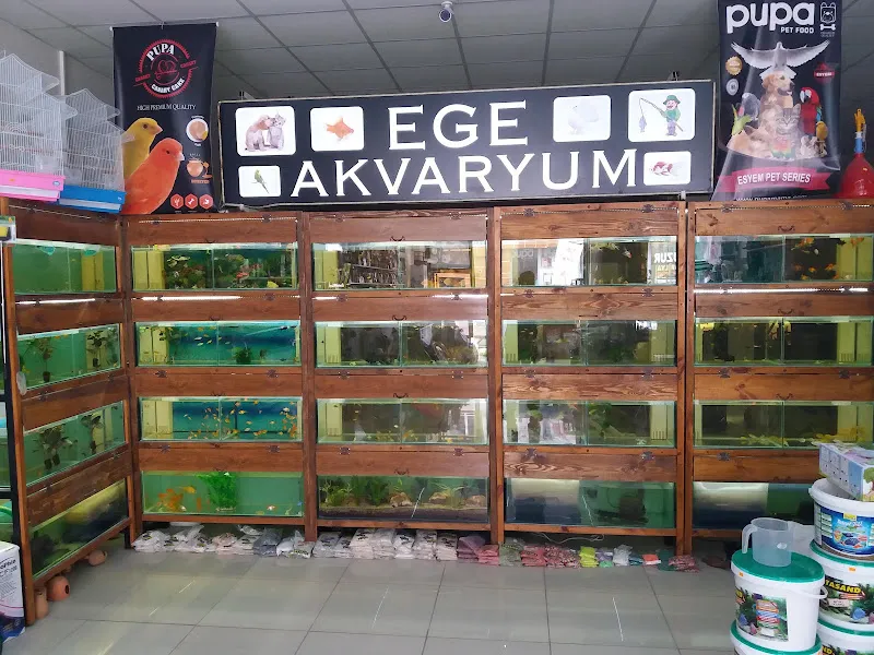 EGE PETSHOP VE AKVARYUM foto 2