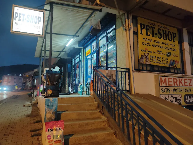 PENDİK FLAMİNGO PET SHOP.EVCİL HAYVAN ÜRÜNLERİ foto 2