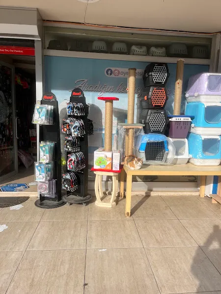 Maltepe Oyer Petshop | Kedi Maması | Köpek Maması | Online Mama Siparişi | Evlere Ücretsiz Servis foto 2