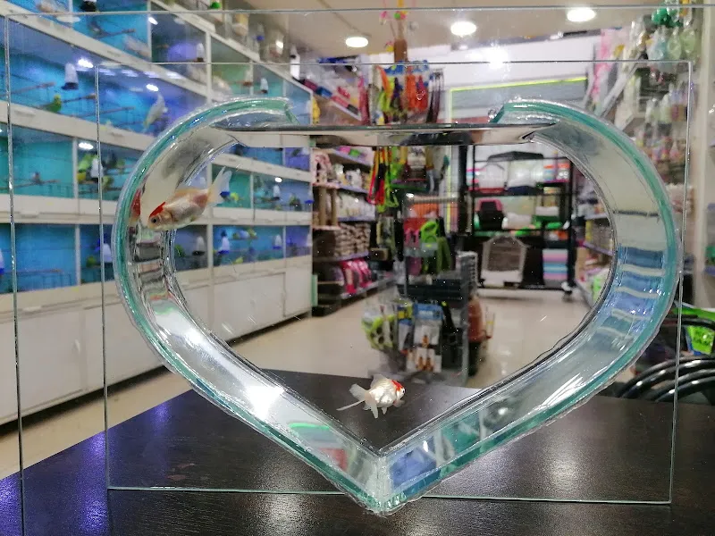 Ay Işığı Pet Shop ve AKVARYUM foto 2