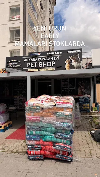 Ankara Papağan Evi Pet Shop foto 2
