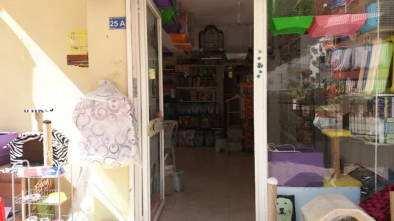Yenigün Petshop foto 2