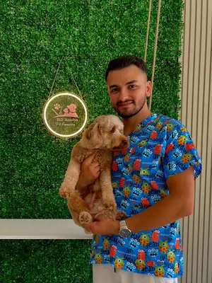 Antalya Pet Kuaför 242 fotoğrafı