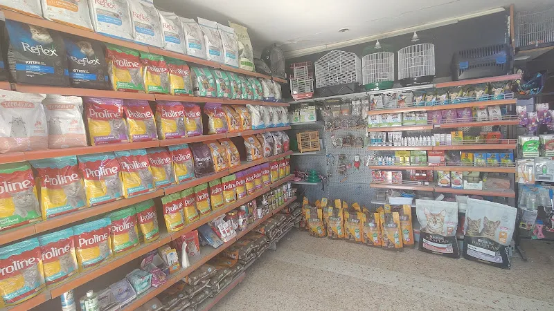 Osmaniye Aydemir Petshop foto 2