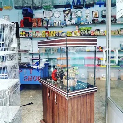 Alatay pet shop