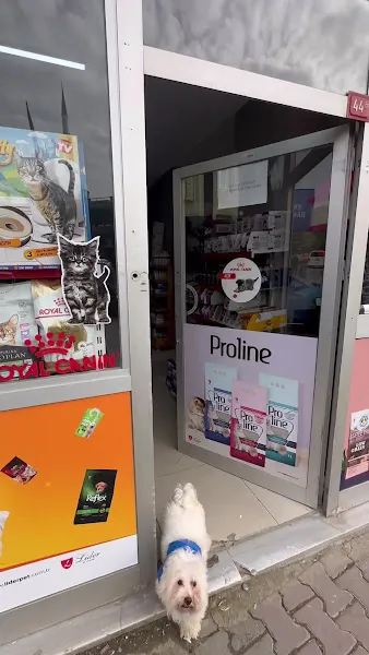 Baltacı Petshop foto 2