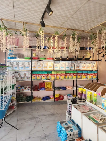 Yağmur Petshop&Akvaryum foto 2