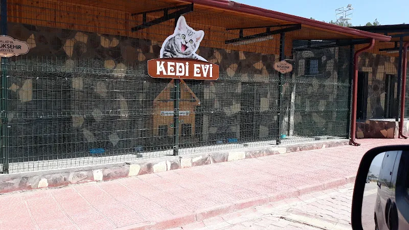 Malatya Büyükşehir Belediyesi Hayvan Barınağı Ve Doğal Yaşam Alanı foto 2