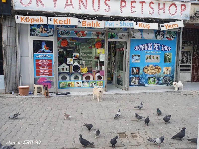 OKYANUS PETSHOP foto 1