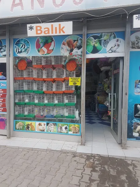 OKYANUS PETSHOP foto 2