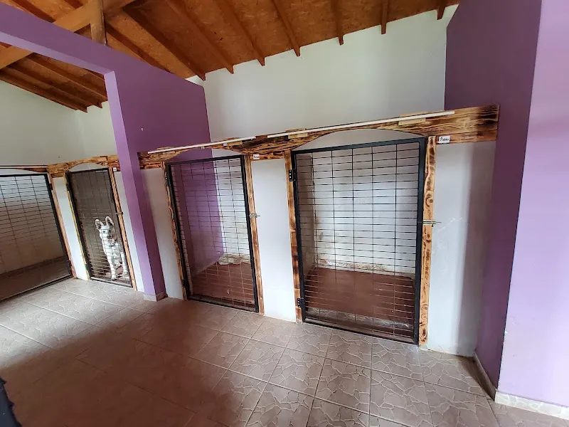PROTEO K9 AKADEMİ | PET OTEL VE KÖPEK EĞİTİMİ ORDU foto 2