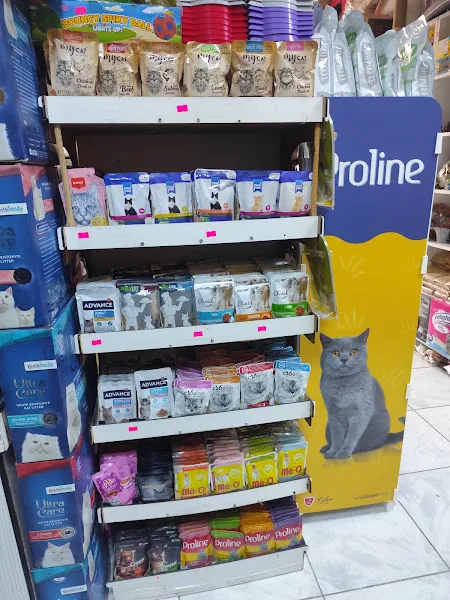 Amazon Akvaryum Petshop foto 1
