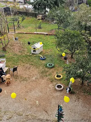 Mersin Köpek Pansiyonu