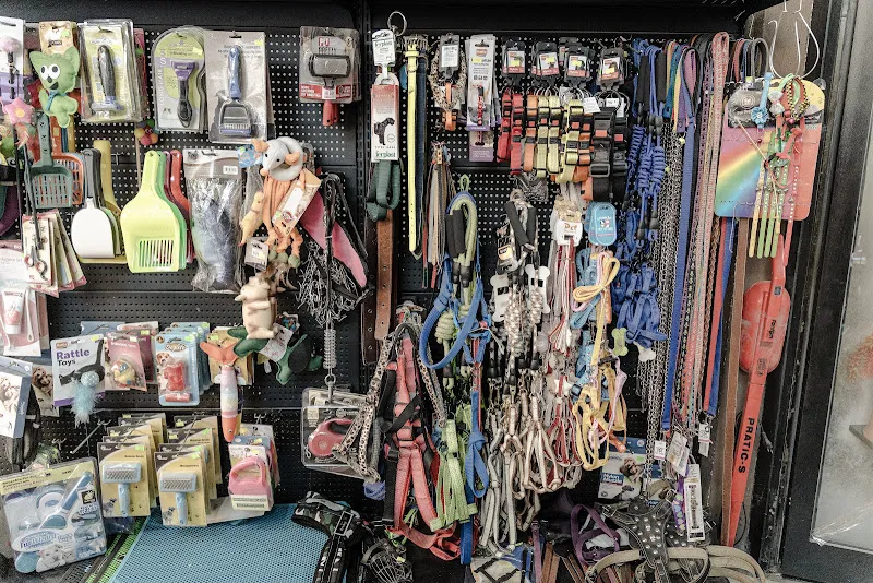 Gofi Pet Shop foto 2
