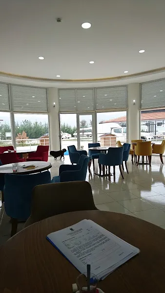 İvrindi Hayvan Barınağı foto 2
