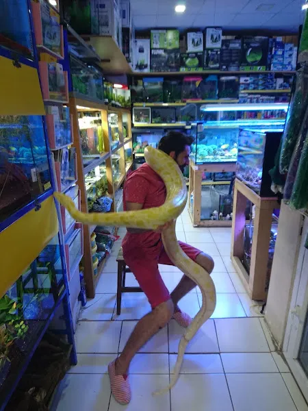 Hobby pet shop hobi grup ltd. foto 2