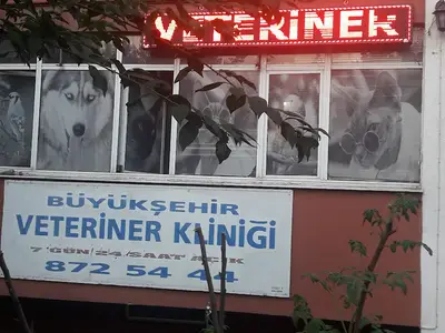 ÖZEL BEYLİKDÜZÜ BÜYÜKŞEHİR VETERİNER KLİNİĞİ