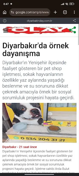 Sevimli Dostlar Petshop Evcil Hayvan Mağazası foto 2