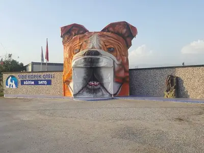 SİDE Köpek Oteli Eğitim Merkezi fotoğrafı