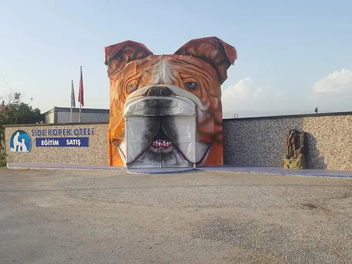 SİDE Köpek Oteli Eğitim Merkezi foto 1