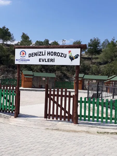 Pamukkale Belediyesi Hayvan Barınağı foto 2